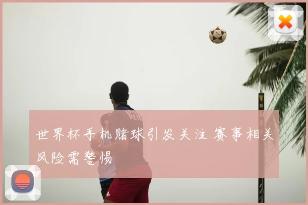 世界杯手机赌球引发关注 赛事相关风险需警惕