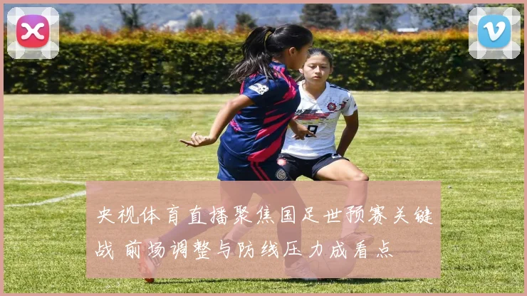 央视体育直播聚焦国足世预赛关键战 前场调整与防线压力成看点